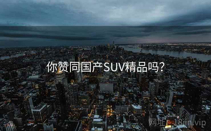 你赞同国产SUV精品吗？