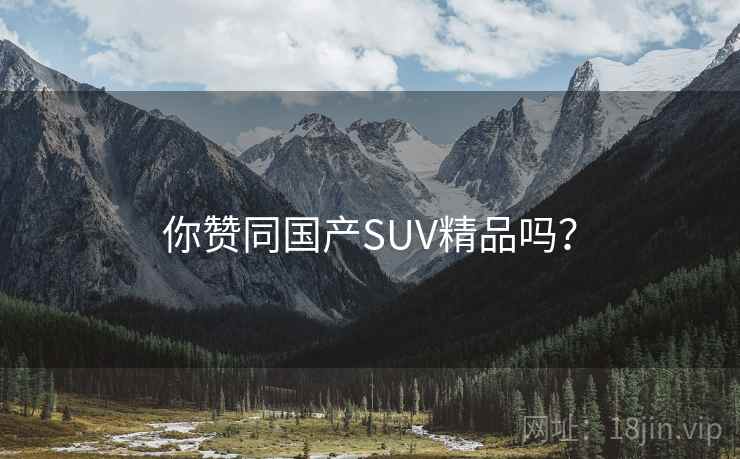 你赞同国产SUV精品吗？