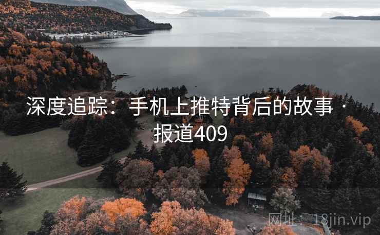 深度追踪：手机上推特背后的故事 · 报道409