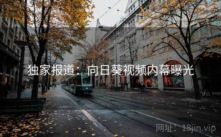 独家报道：向日葵视频内幕曝光