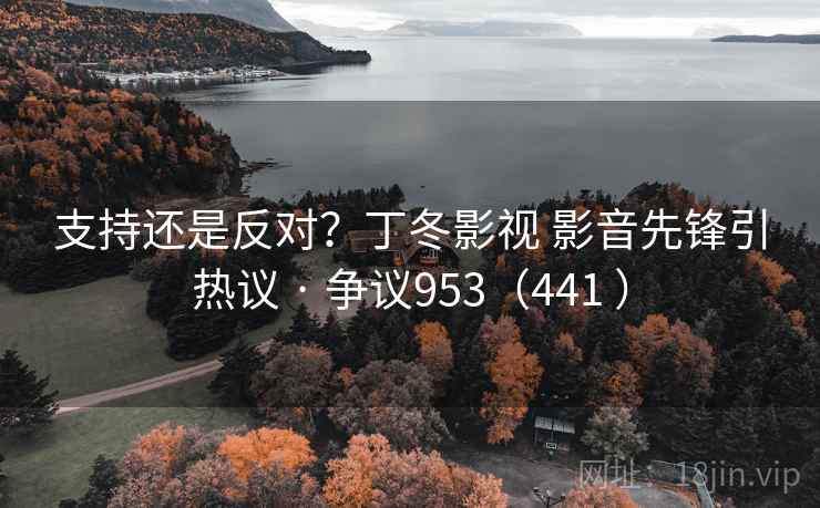 支持还是反对？丁冬影视 影音先锋引热议 · 争议953（441 ）  第1张