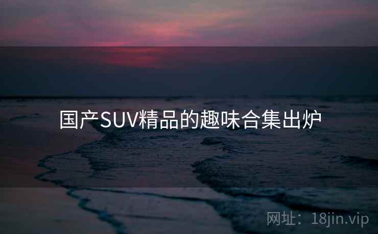 国产SUV精品的趣味合集出炉  第2张