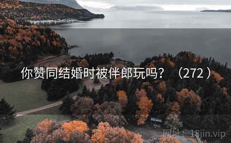 你赞同结婚时被伴郎玩吗？（272 ）
