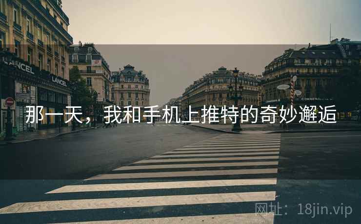 那一天，我和手机上推特的奇妙邂逅  第1张